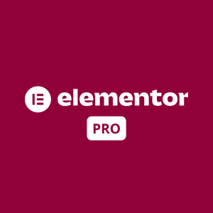 Elementor Pro Plugin